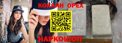 СК Будённовск